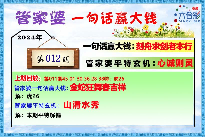 管家婆的资料一肖中特176期,最佳精选解释落实