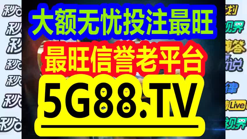 管家婆一码中一肖2024-绝对经典解释落实